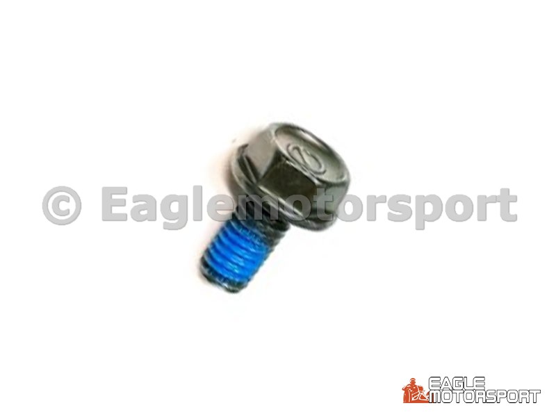 Bout, plaat kop, M5 x 10 mm, Access